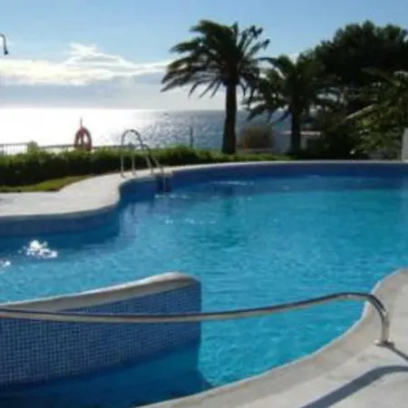 Las Palmeras Apartment